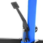 RS208301