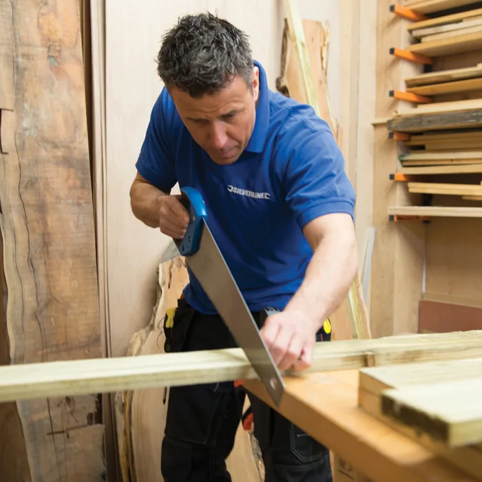 598450_ENINSWNM2 598450_ENINSWNM2