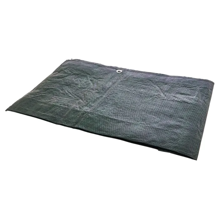 S4905.jpg