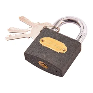 50mm Iron padlock