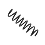 Coil Spring (Rear) BMW 5 Series (F10)