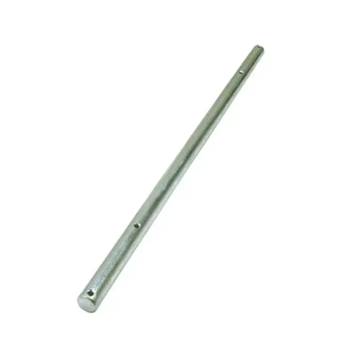 RS303101