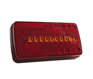 12V / 24V Dual Voltage Rear Light